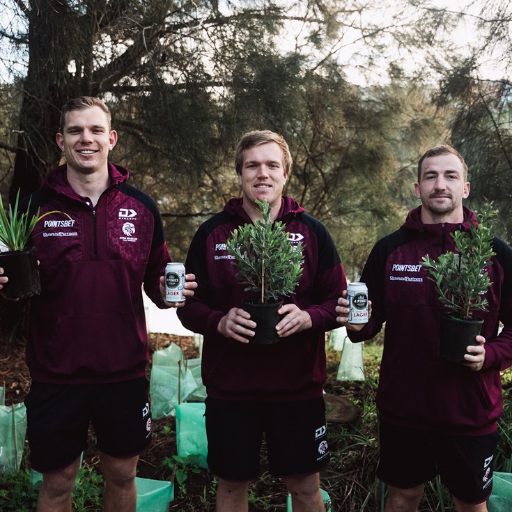 Sea Eagles and 4 Pines - scoring tries and planting trees together