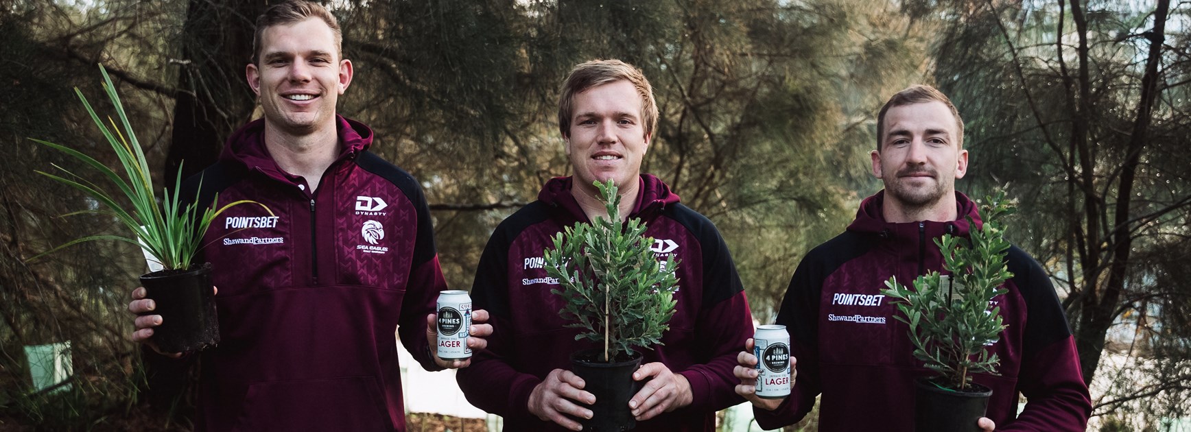 Sea Eagles and 4 Pines - scoring tries and planting trees together