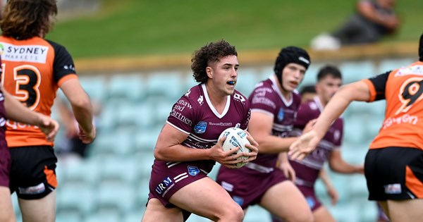 www.seaeagles.com.au