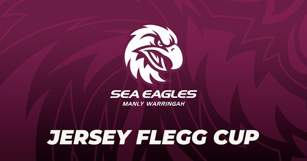 www.seaeagles.com.au