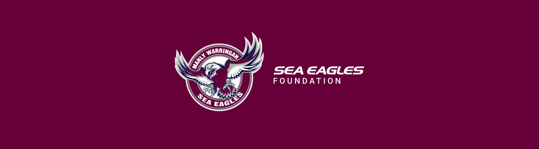 Learn About The Sea Eagles Foundation Sea Eagles